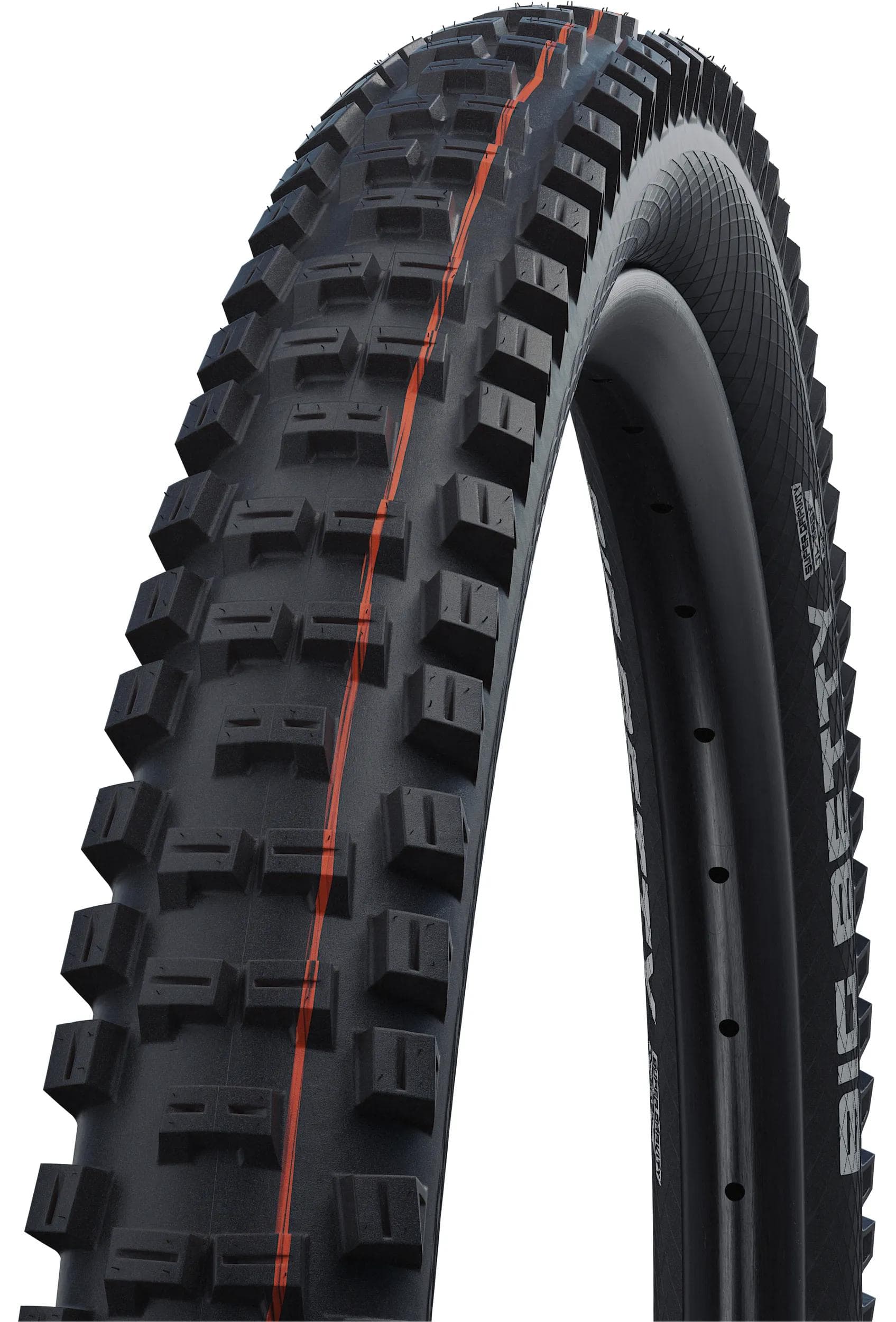 Schwalbe Big Betty Evolution Line