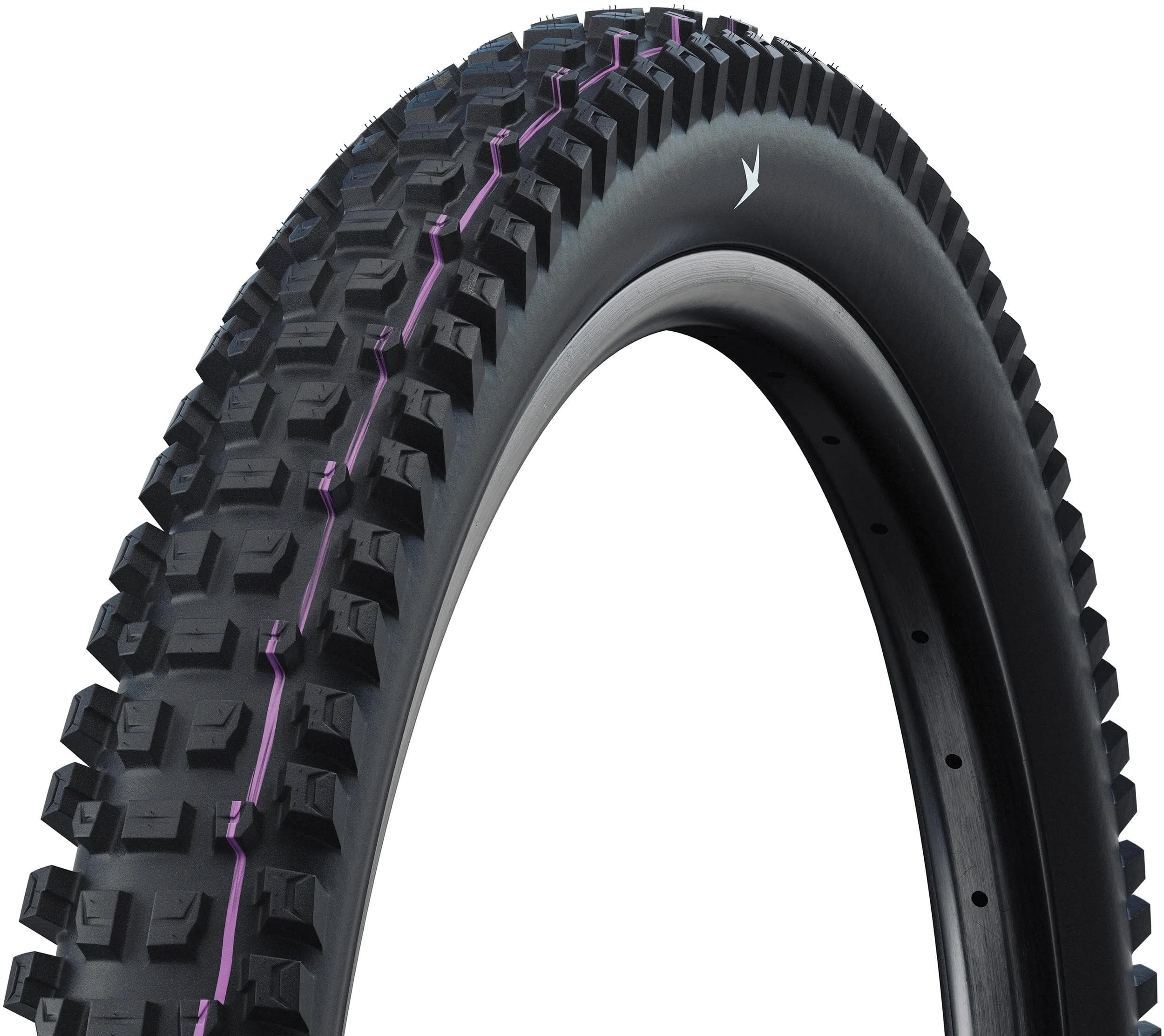 Schwalbe Albert Pro Evolution Line